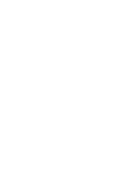 Mały raptor