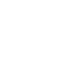 Smok z zatoki